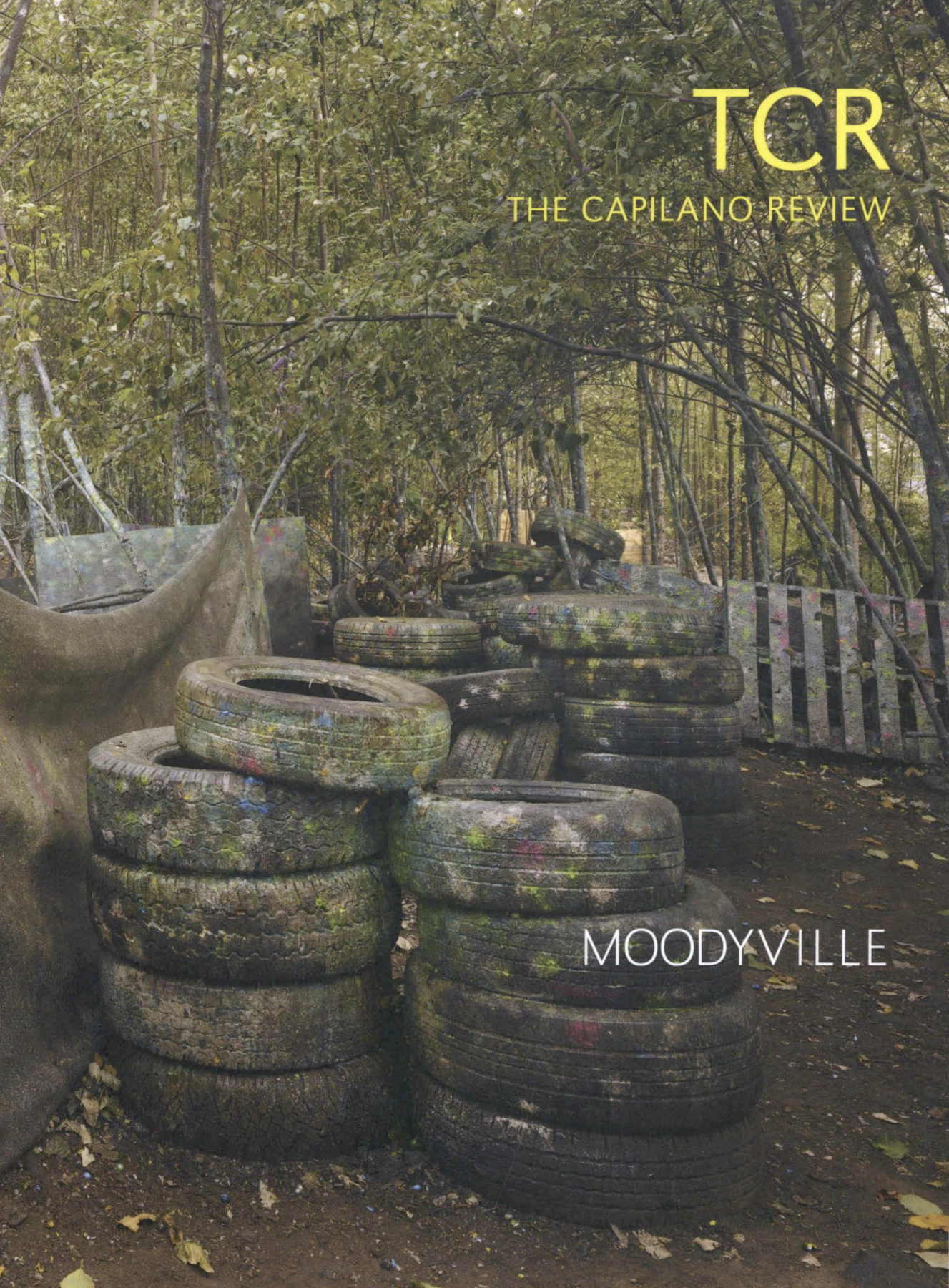 Jim Breukelman, Paintba/1 Landscape Series #14 (detail), 2008, Chromogenic print on Kodak Endure Paper, 49.5 x 59 inches. Courtesy the artist and Republic Gallery, Vancouver 