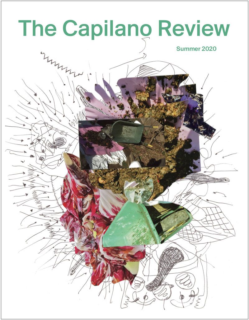 Cover: Garden Don’t Care, Pattern of Pears, 2020, mixed media, dimensions variable