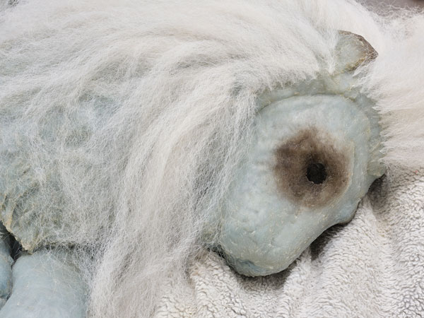 Liz Magor, Coiffed (detail), 2020, painted plywood, fabric skirting, silicone rubber, artificial hair, acrylic throw, woollen blankets, silver fabric, linen, jewellery boxes, costume jewellery, packaging materials, 27 x 132 x 96 in. (69 x 335 x 244 cm). Photo: Rachel Topham Photography. Courtesy Catriona Jeffries, Vancouver