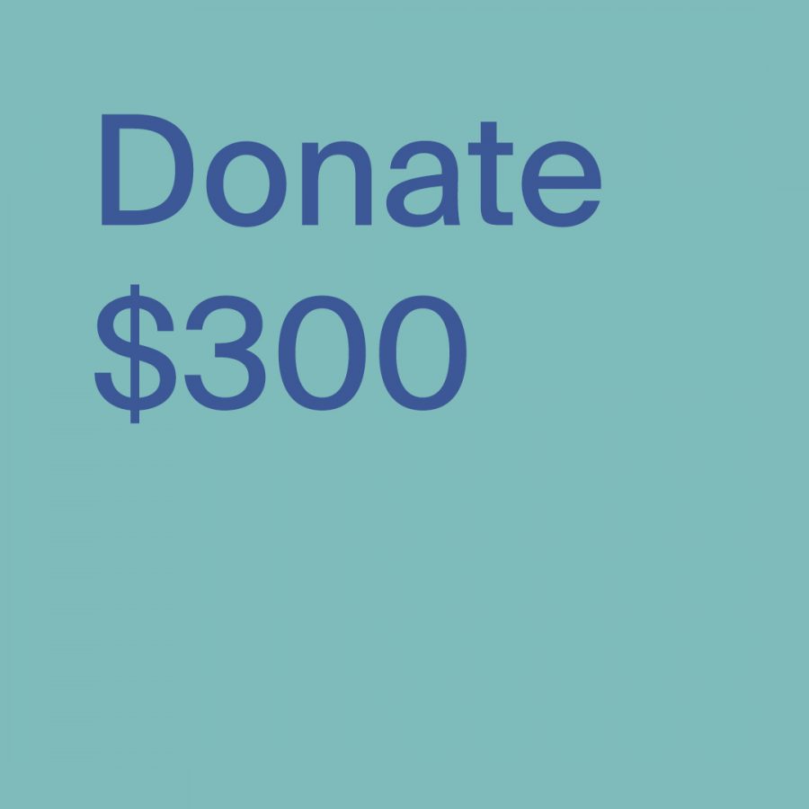 donate-300-the-capilano-review