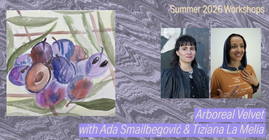 Lines into the Air: Arboreal Velvet, with Tiziana La Melia and Ada Smailbegović